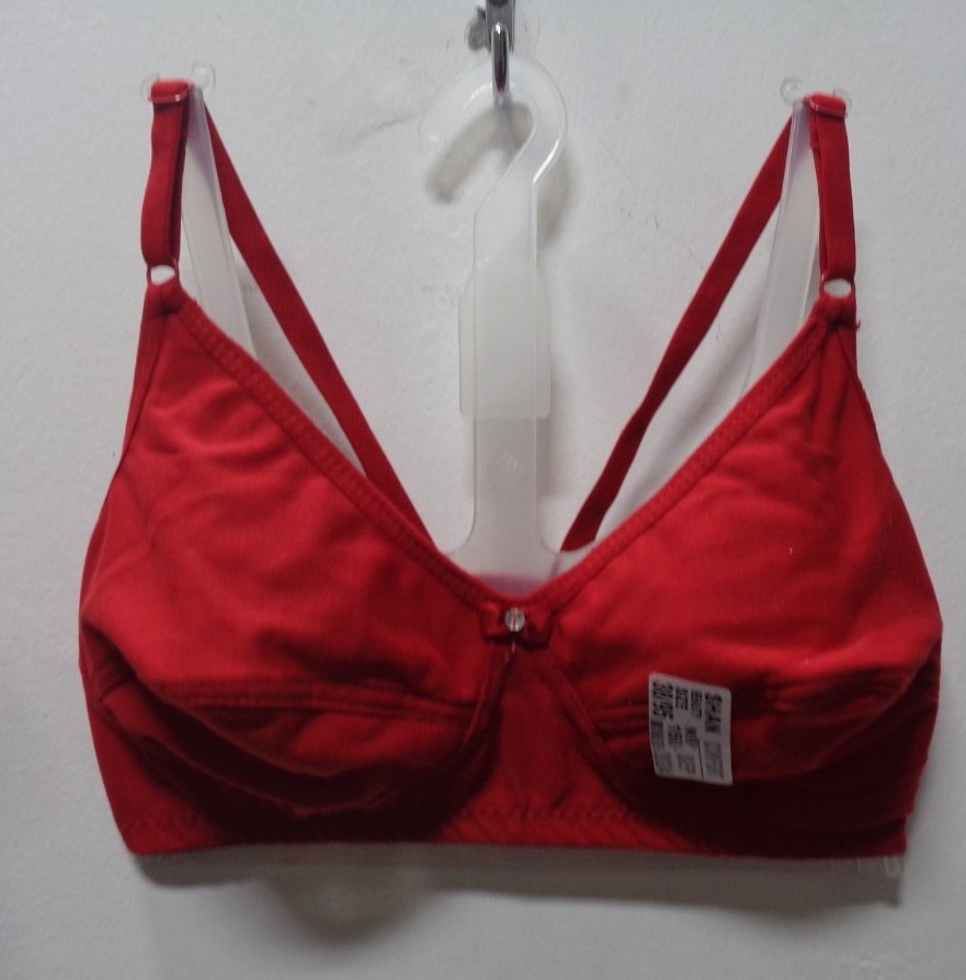 PREMIUM LINGERIE BRA